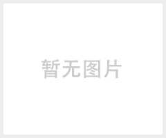 汽车车载后视倒车摄像头（XY-1695）